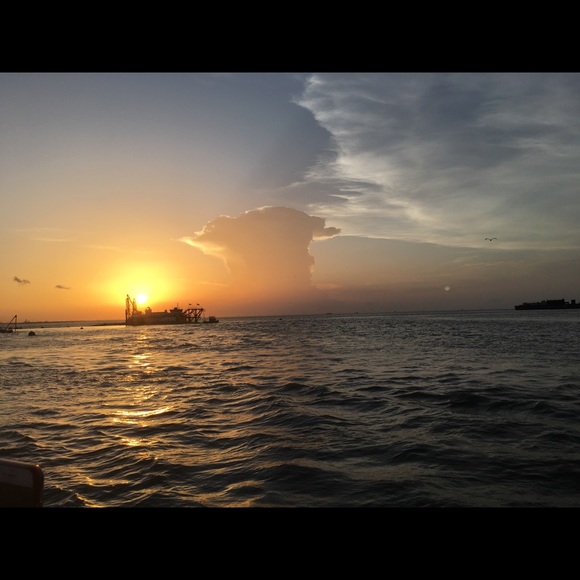 Meet your Posher, Joey - Picture 1 of 1